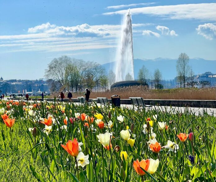 Onde ficar em Genebra