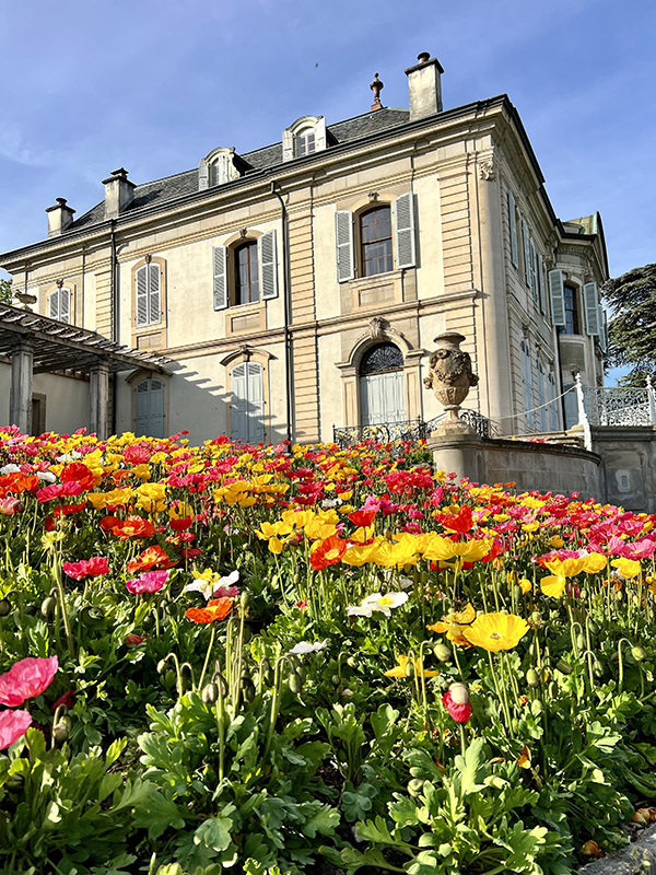 Primavera em Genebra, como se inspirar com as cores da cidade. Fotografe muito! Primavera em Genebra 1