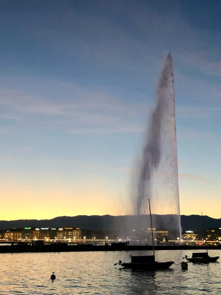 WhatsApp Image 2024 02 06 at 04.40.11