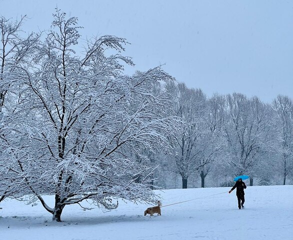 Vale a Pena Morar na Suíça? Prós e Contras depois de 3 anos morando aqui Vale a Pena Morar na Suíça